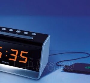 RADIO CLOCKS